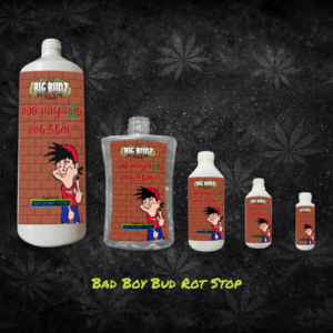 bad boy bud rot stop