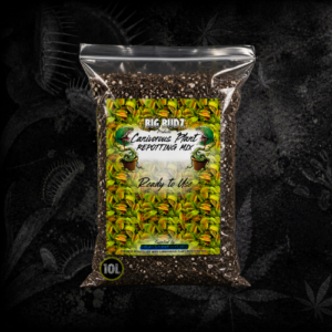 pulses from organic farm