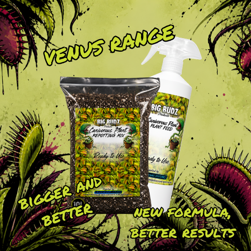 boost your venus fly traps today! (2)